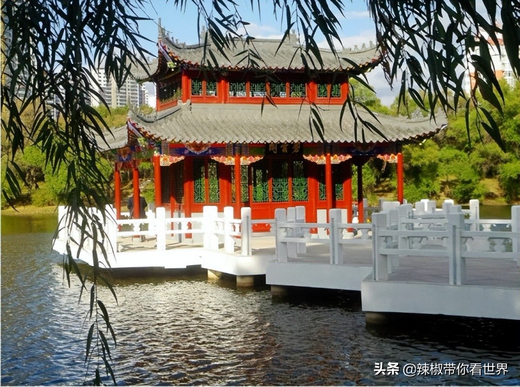 美在黑龙江：走进诗意山水之齐齐哈尔这里是世界大湿地中国鹤家乡