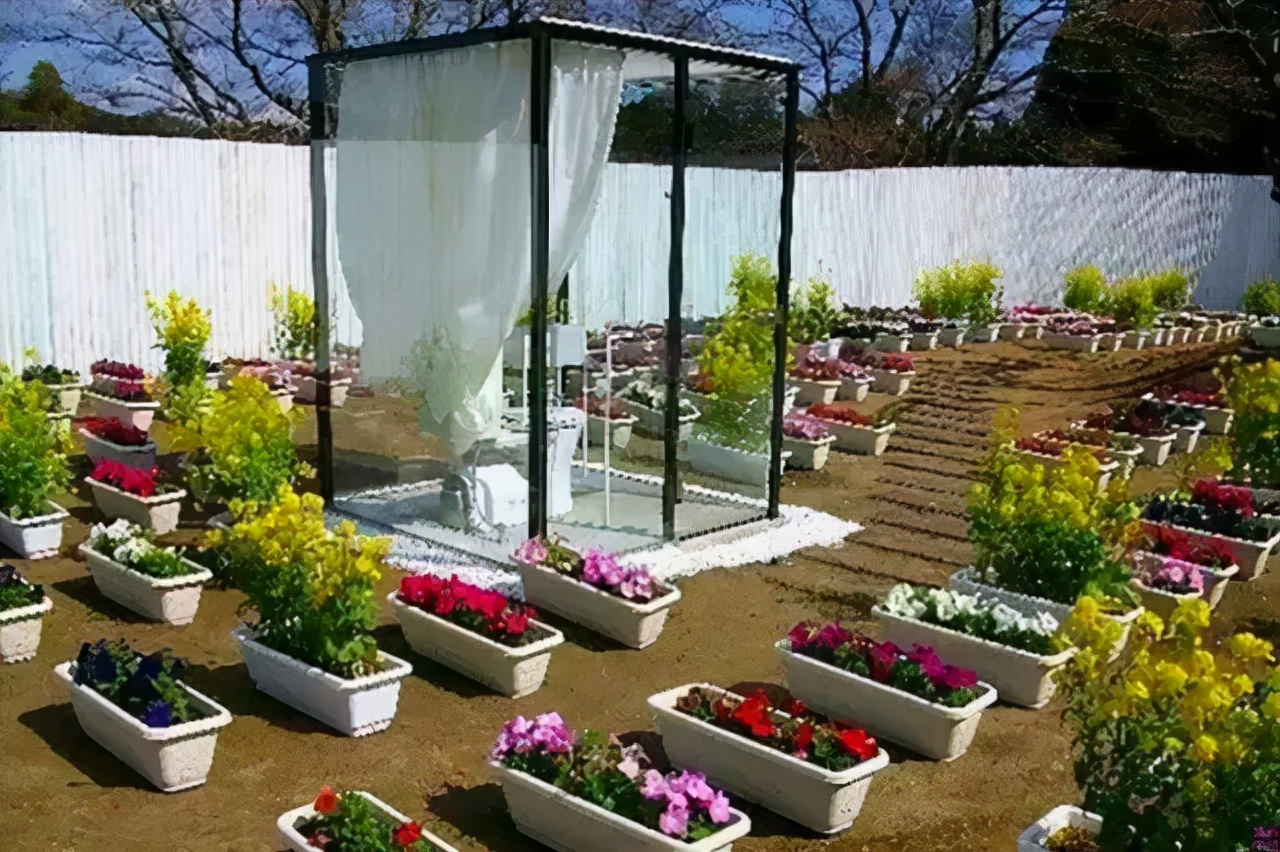 正确拉屎的姿势,正确拉屎姿势