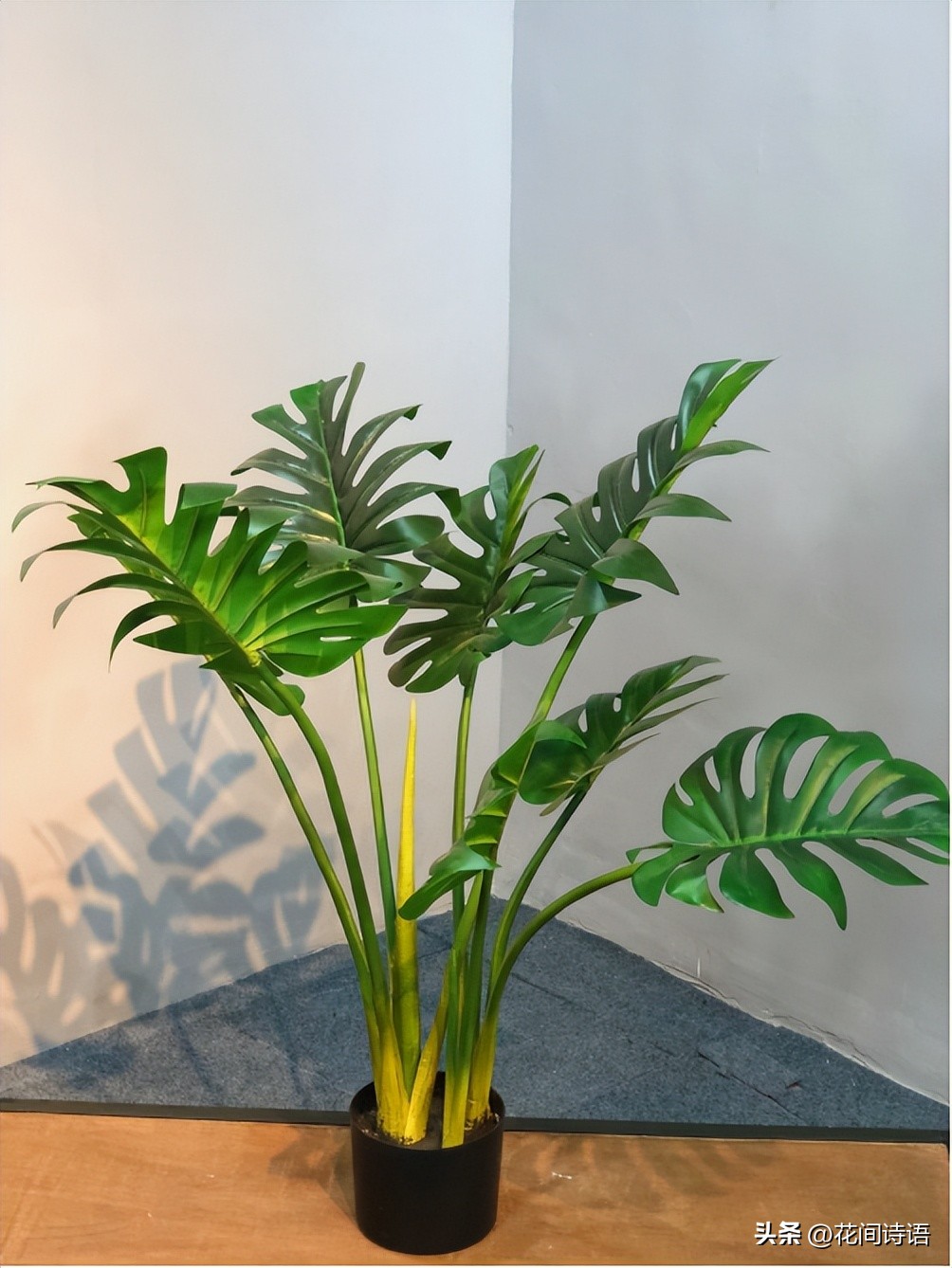 屋内除甲醛效果最好的方法,屋内除甲醛最好的方法