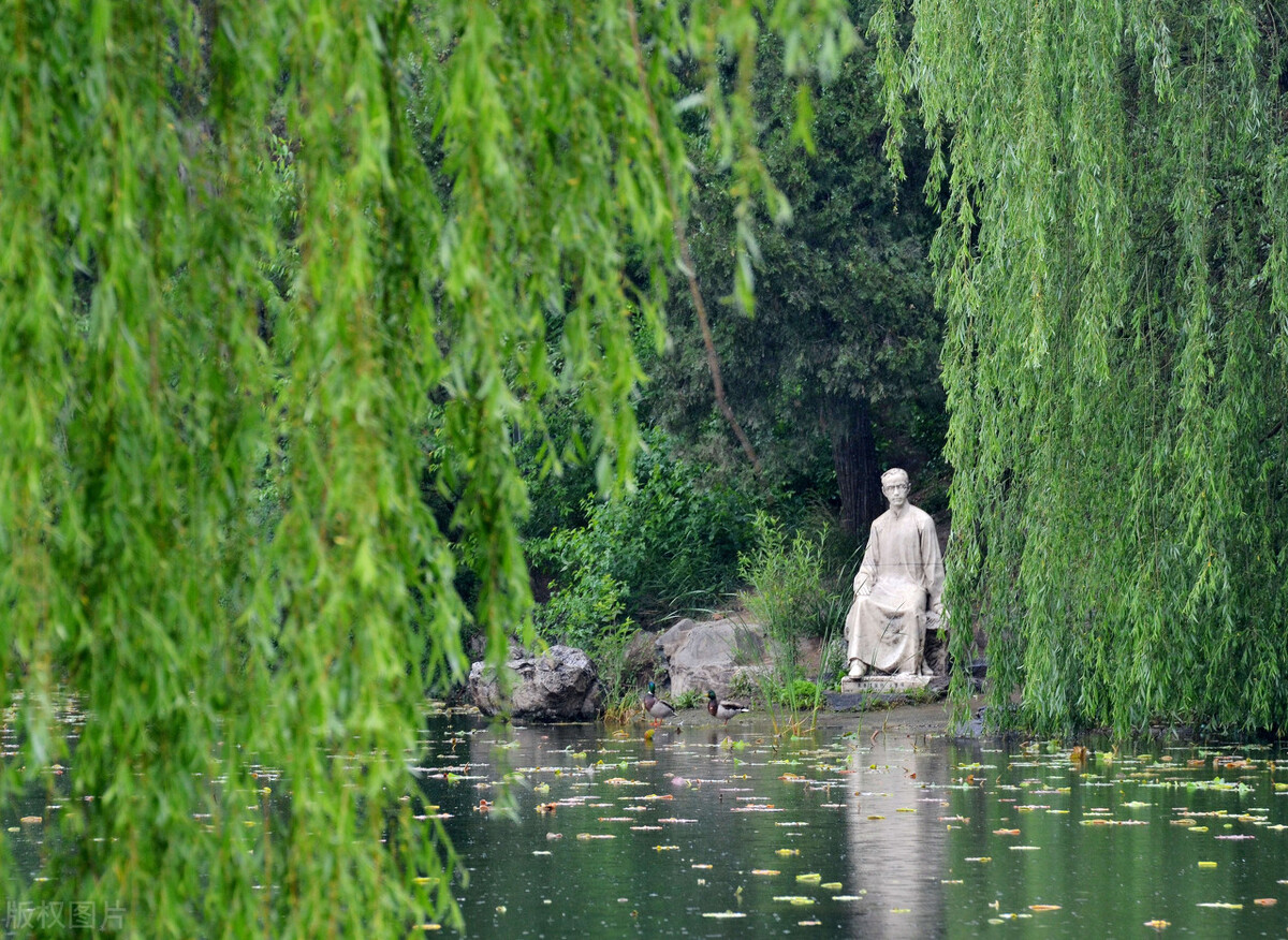 世界名校的百年经典校训,世界顶尖名校校训