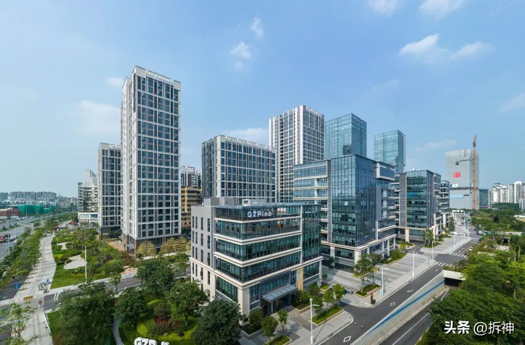 这里要靠名校翻身改命