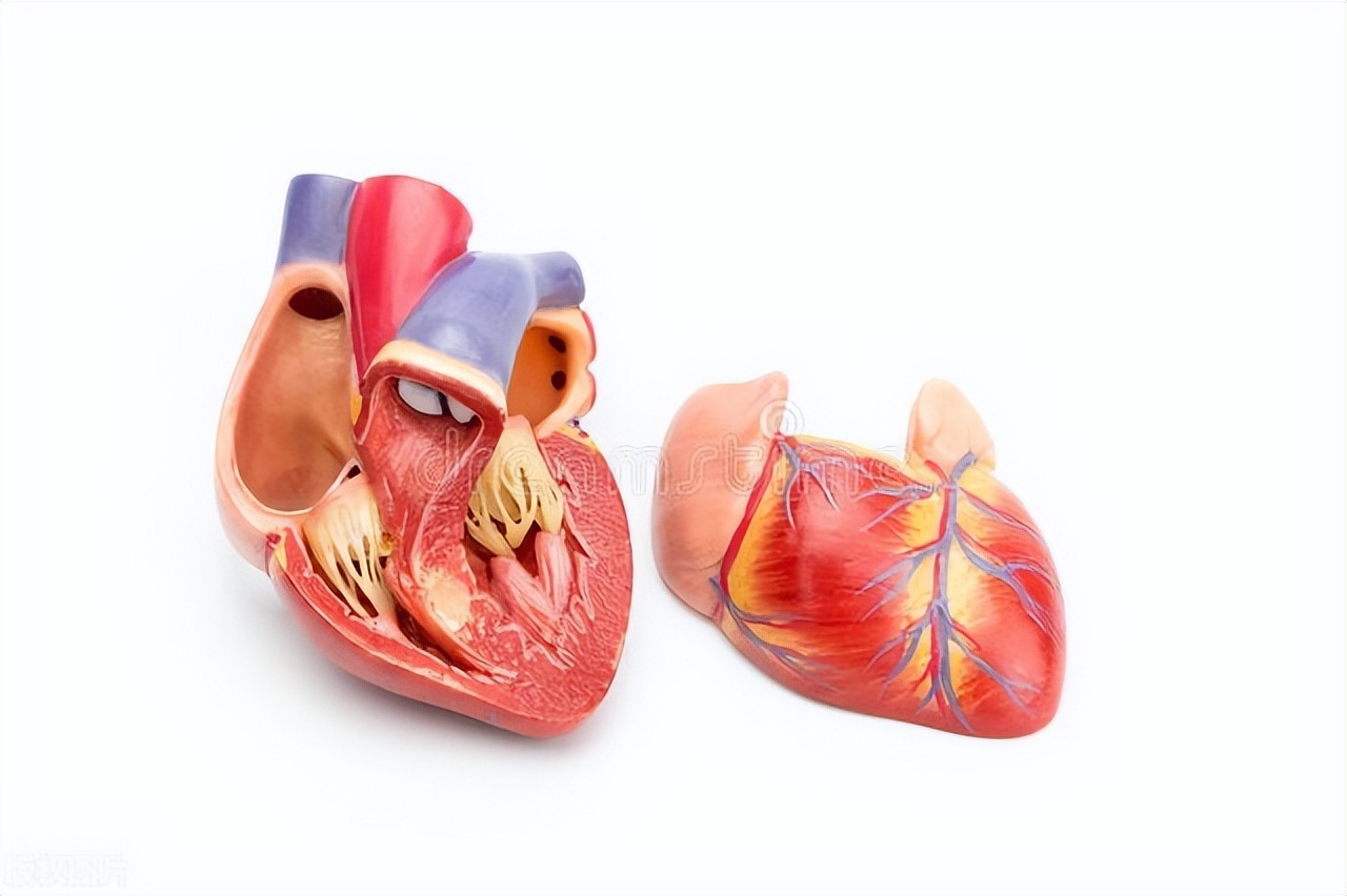 中年大叔每天踮脚多少次,每天踮脚尖20分钟血管还堵吗