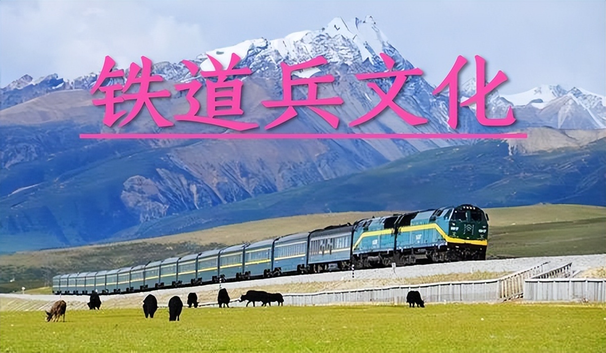 在*013院医**进修的记忆作者/刘波