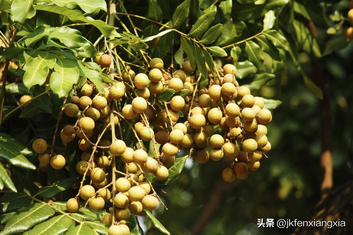 长期上火的最佳解决方法,长期上火最好的解决方法