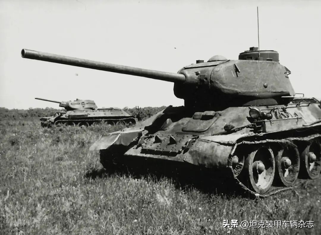 德国日耳曼装甲战车,日耳曼战马