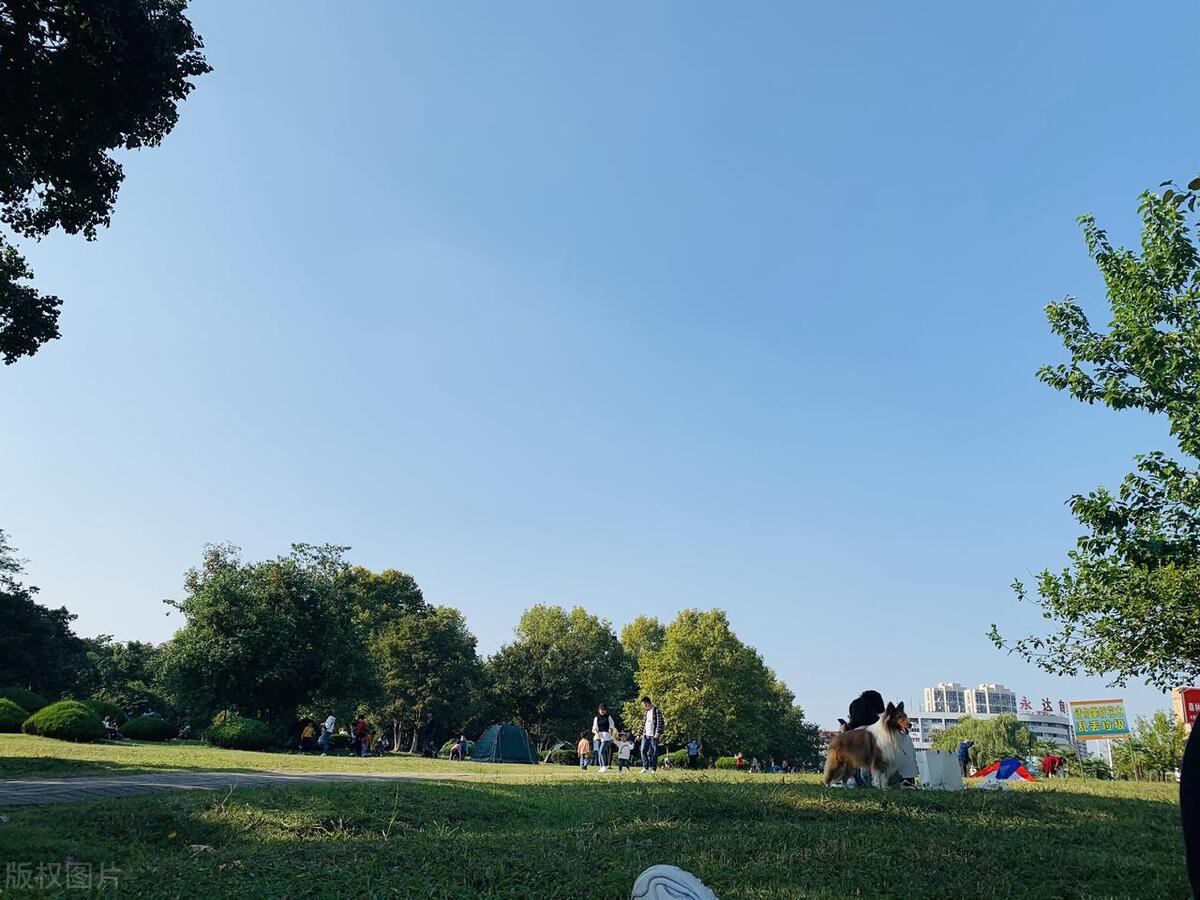 合肥最美公园在哪个区,合肥有哪些公园值得一去