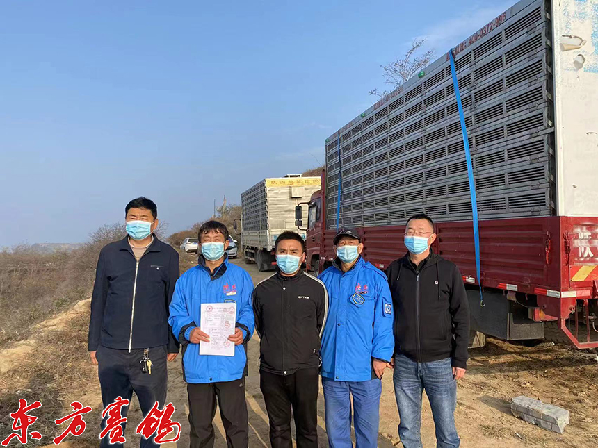 21年惠能秋棚决赛获奖鸽照片,慧能信鸽秋棚直播