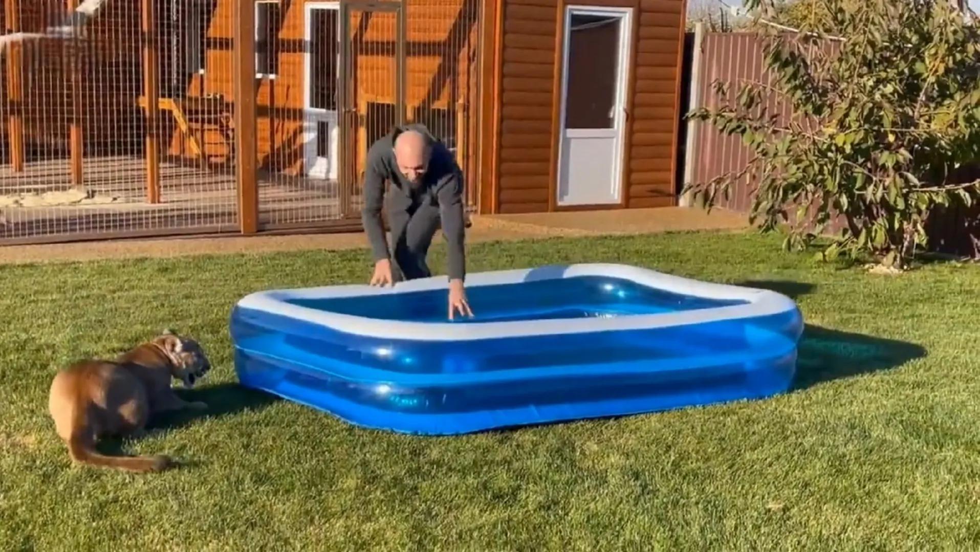 美洲狮梅西足球,美洲狮梅西和美洲狮凯利