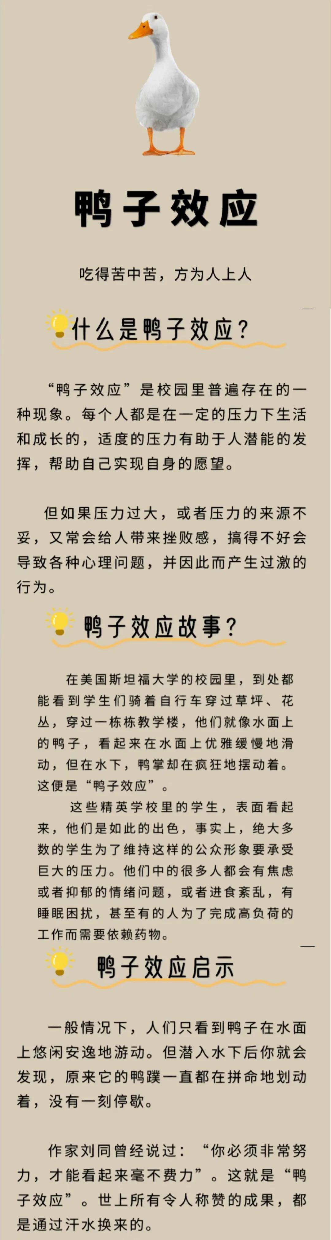 豪猪效应和刺猬法则,豪猪效应谁提出的