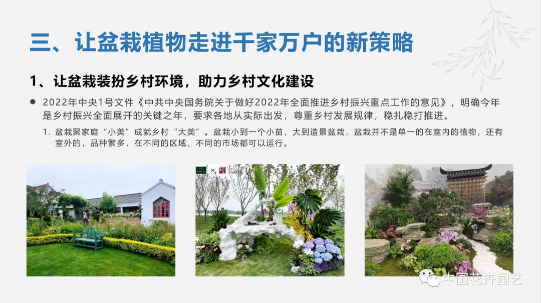 盆栽花卉行业前景,花卉盆栽的市场分析