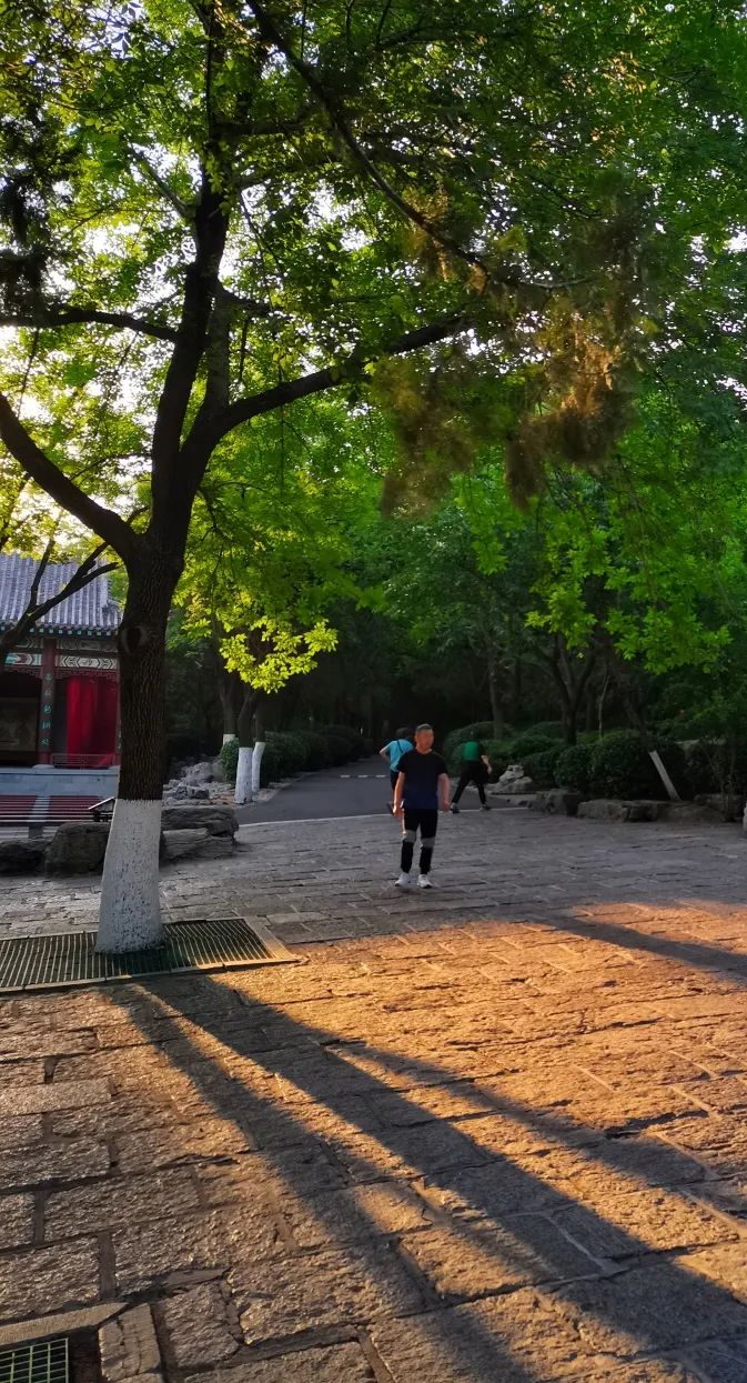 夜爬济南千佛山看日出,夜爬千佛山攻略