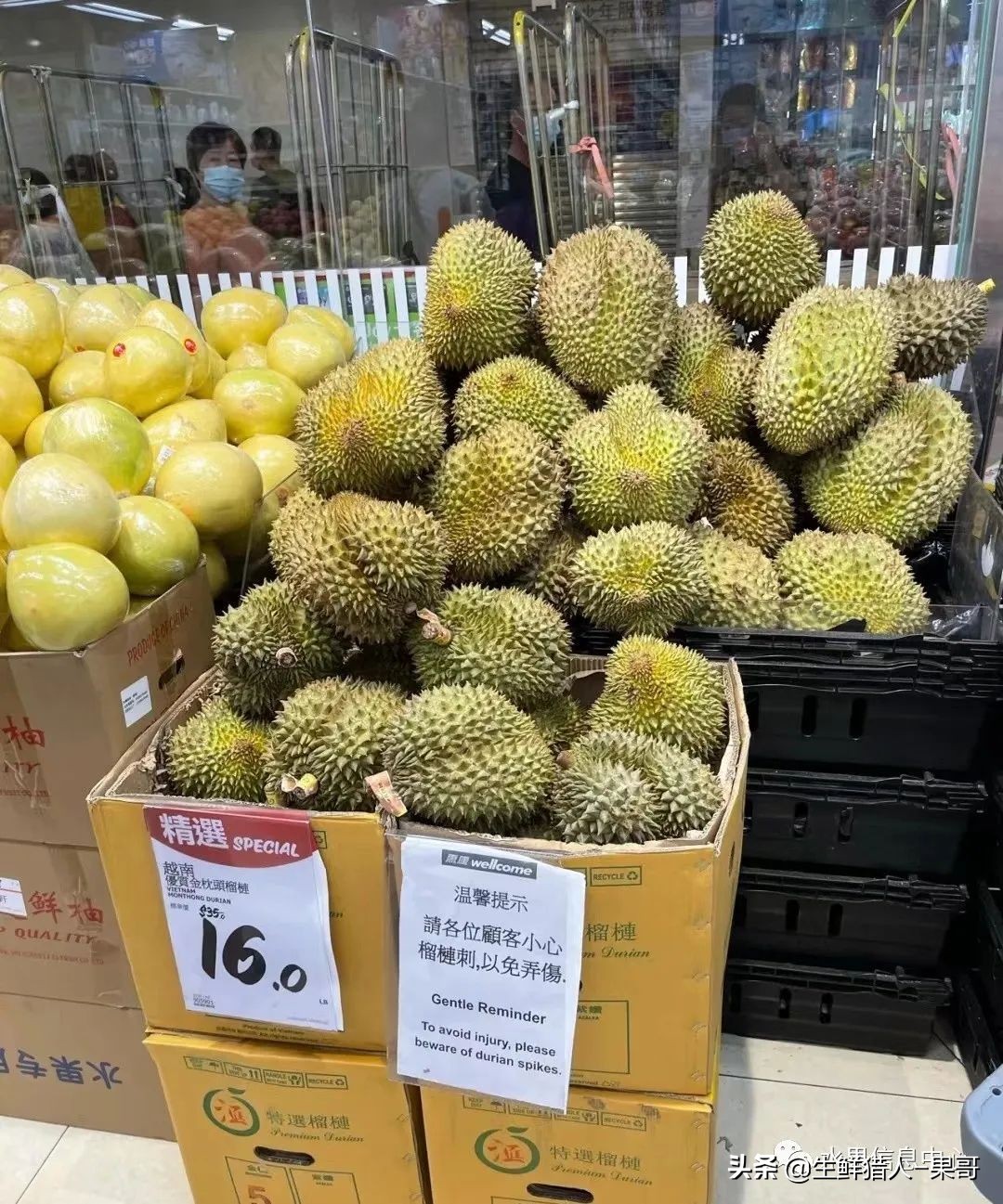 越南当地猫山王榴莲多少钱一斤,越南榴莲知识