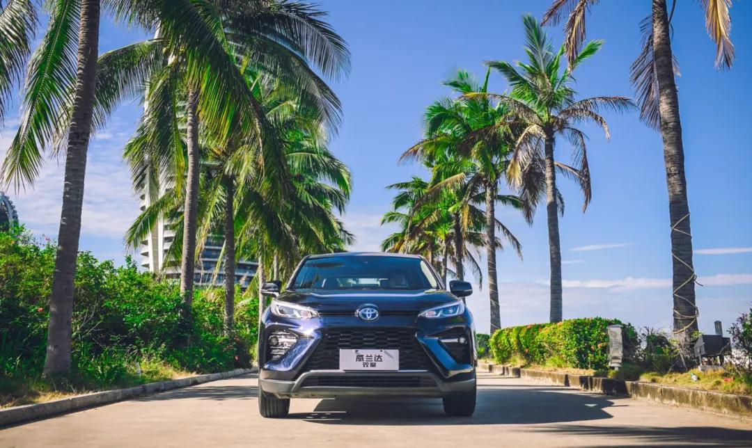 混动怎么解释,混动的解释