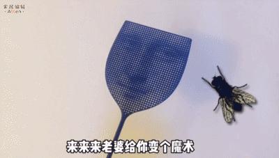 网红家居神器值得买,网红爆款家居用品短视频