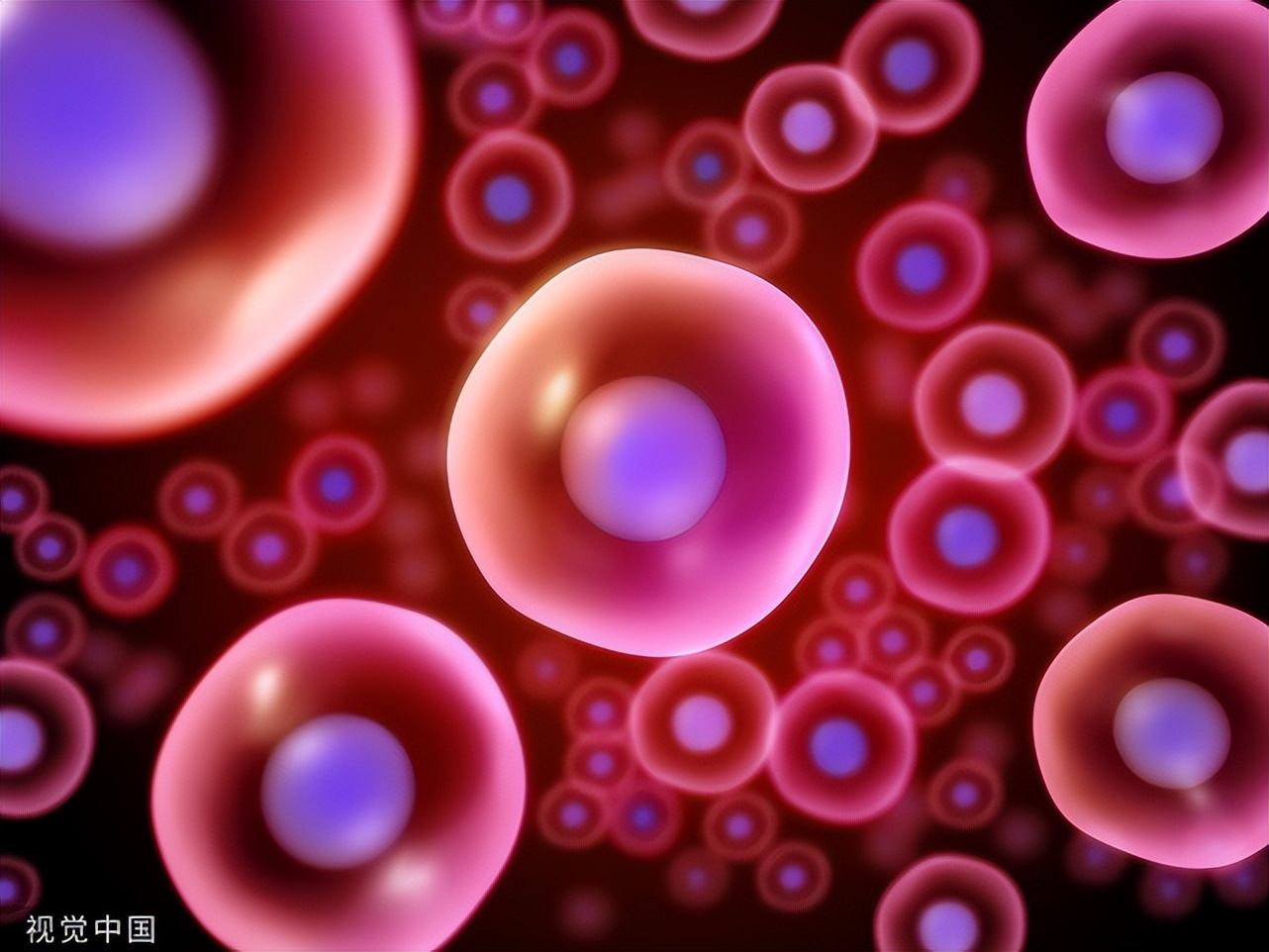 为什么取这么多卵,取的卵很多最后胚胎很少的原因