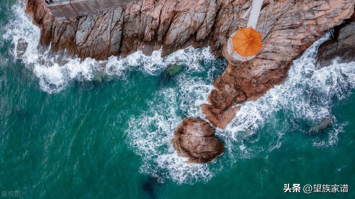 青岛家谱大全,寻根31集免费观看