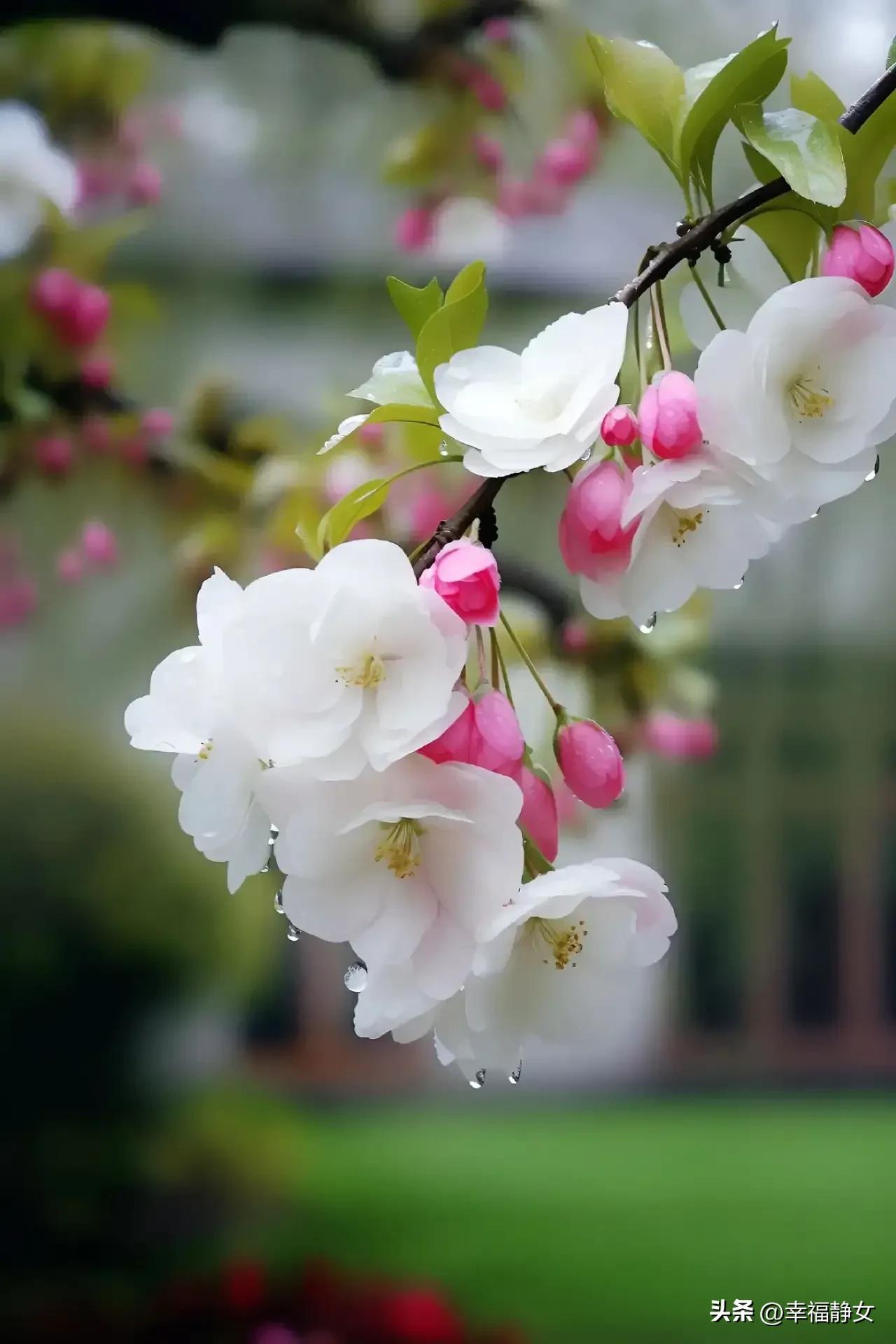 一位好老师改变一个穷学生的命运,一位好老师胜过万卷书诗句