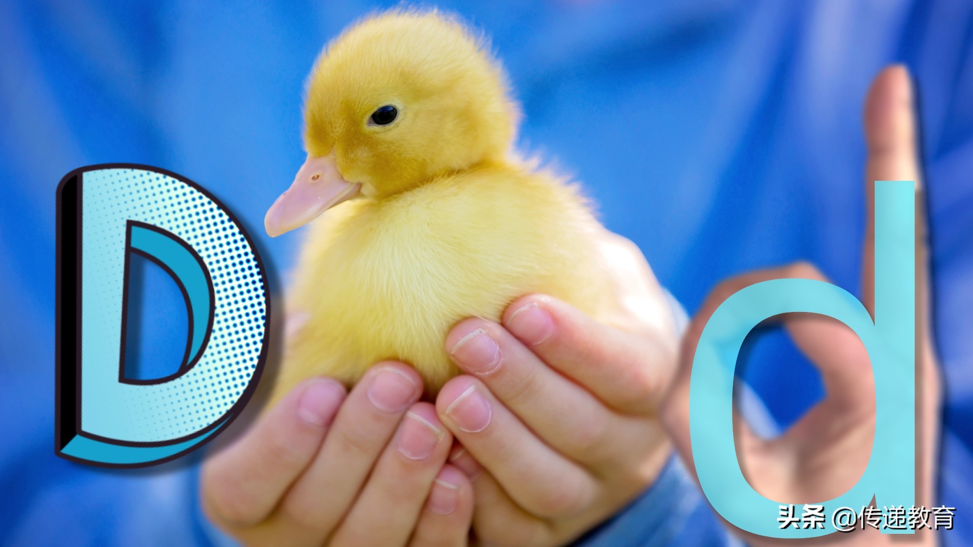 幼儿英语启蒙早教0-6岁英文字母,幼儿英语启蒙课程英文字母学习