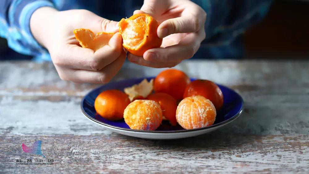 砂糖橘吃多了变成小黄人了,根本停不下来的砂糖桔