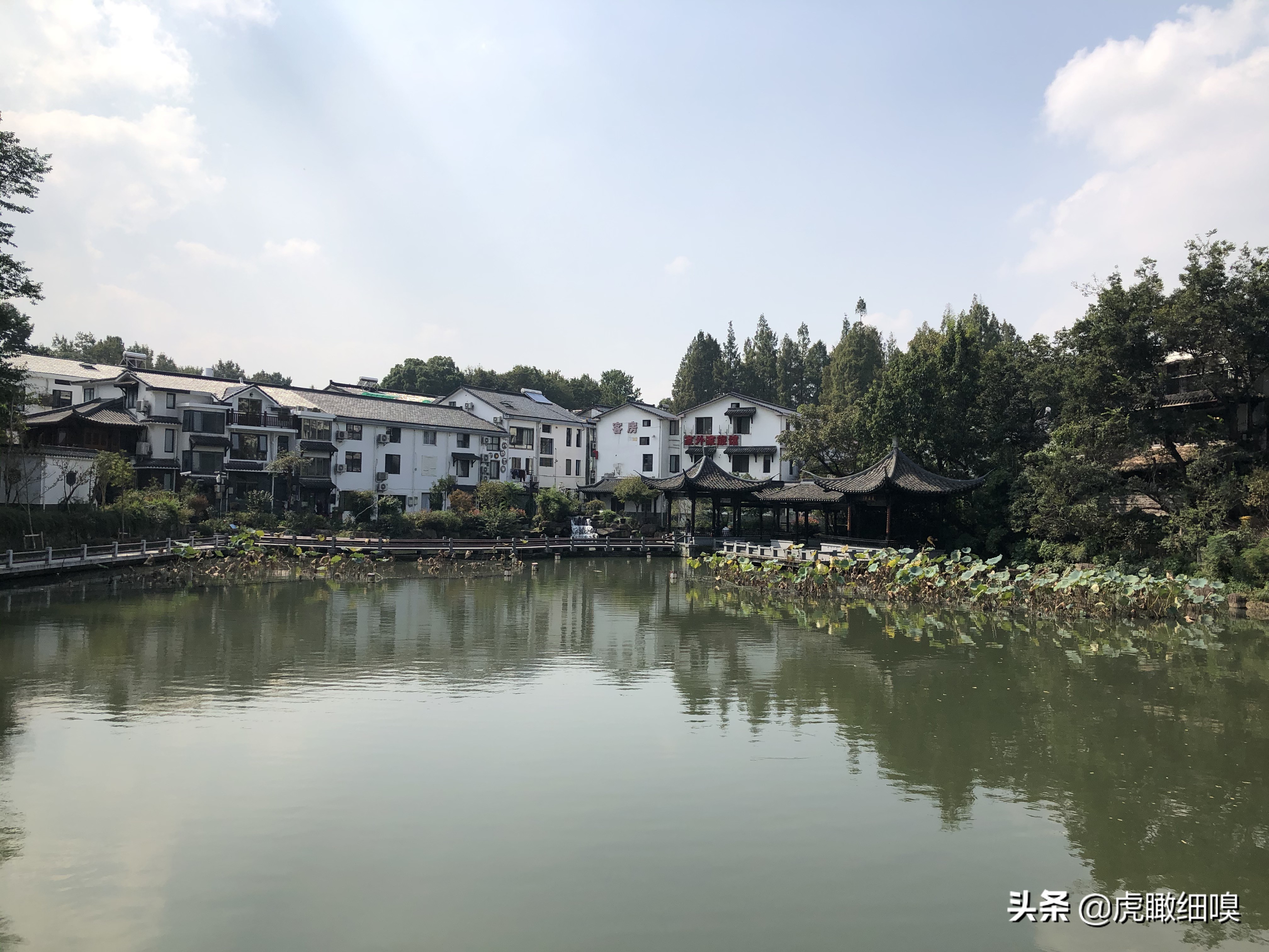 杭州最有名的茶旅,杭州盛产茶的地方有哪些