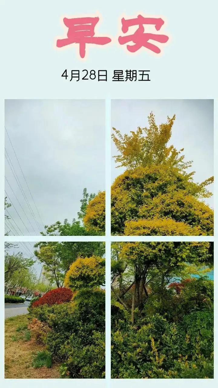 庚子日柱2023年癸卯年运势,癸卯年2023年哪个月出生最好