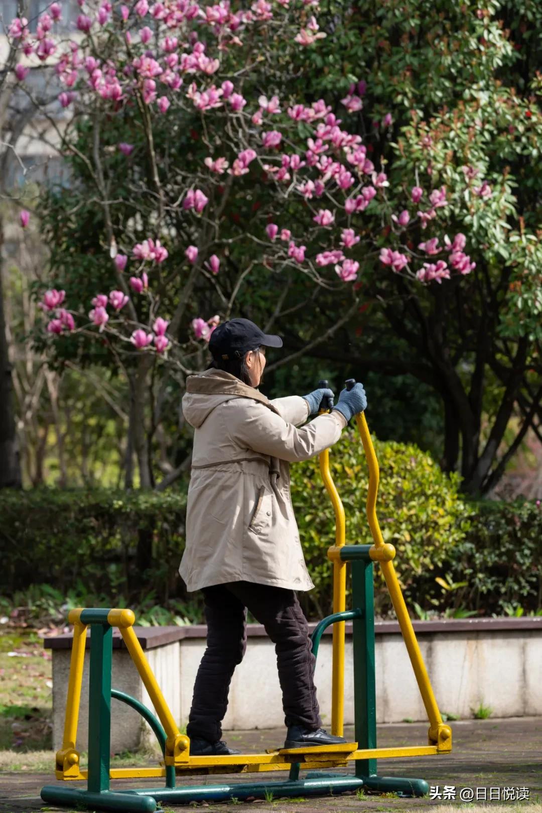 湖北荆州：石首“繁花”上大分↑即将刷爆朋友圈！