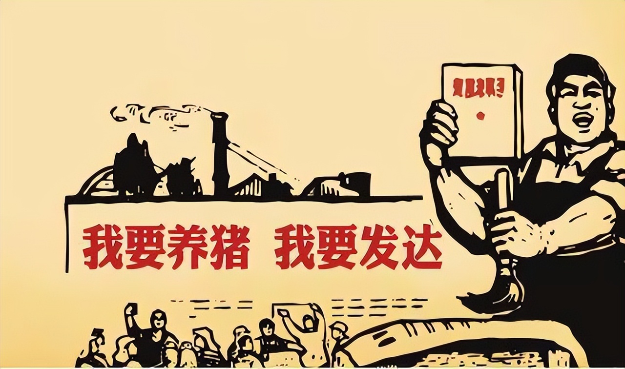 洋猪入侵:从千年养猪大国,到中华猪濒临灭绝,中国土猪怎么了?