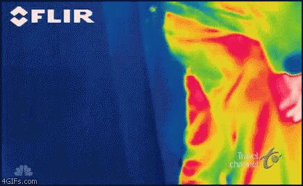 什么动物放屁是香的为什么,什么动物放屁最聪明