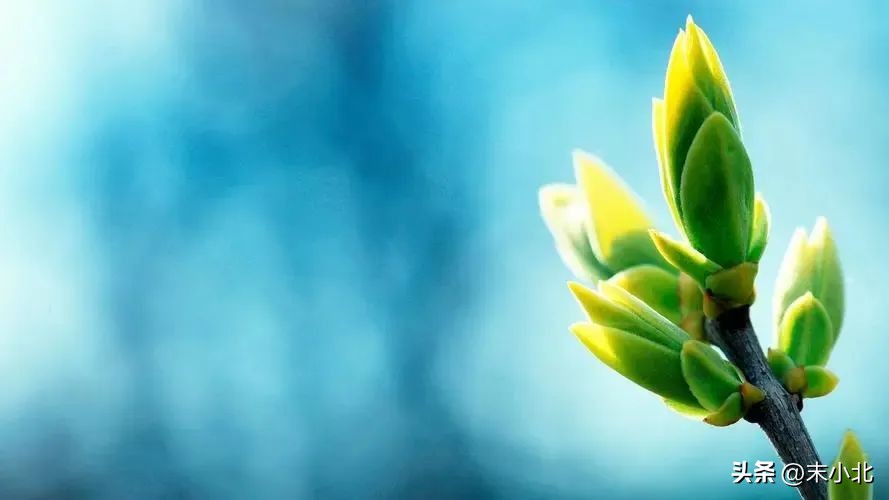 有以下两个特点的男人，不仅不靠谱，也很难给女人幸福