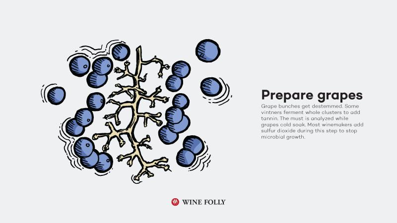 青红葡萄酒酿造,红葡萄酒酿造方法有多少种