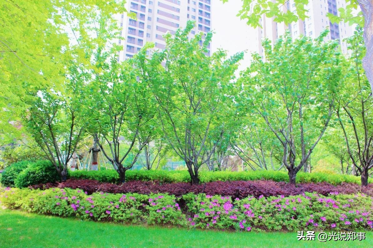 万科物业焕新行动,万科物业参与城市更新服务