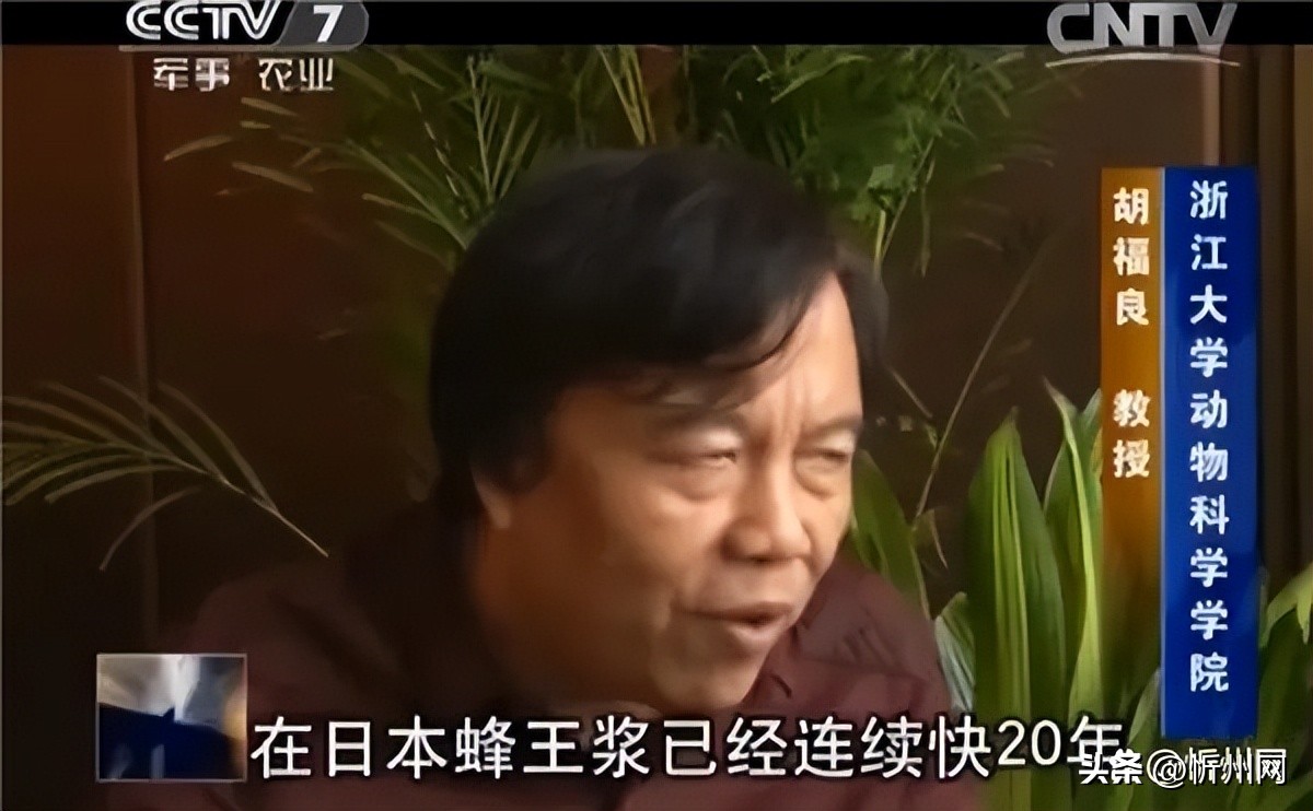 日本老人的长寿秘密,日本人长寿的奥秘发现之旅