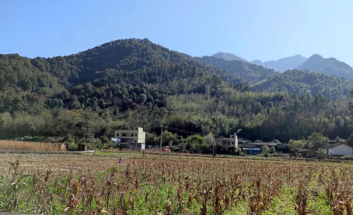 清远避暑温泉山庄,清远森林温泉