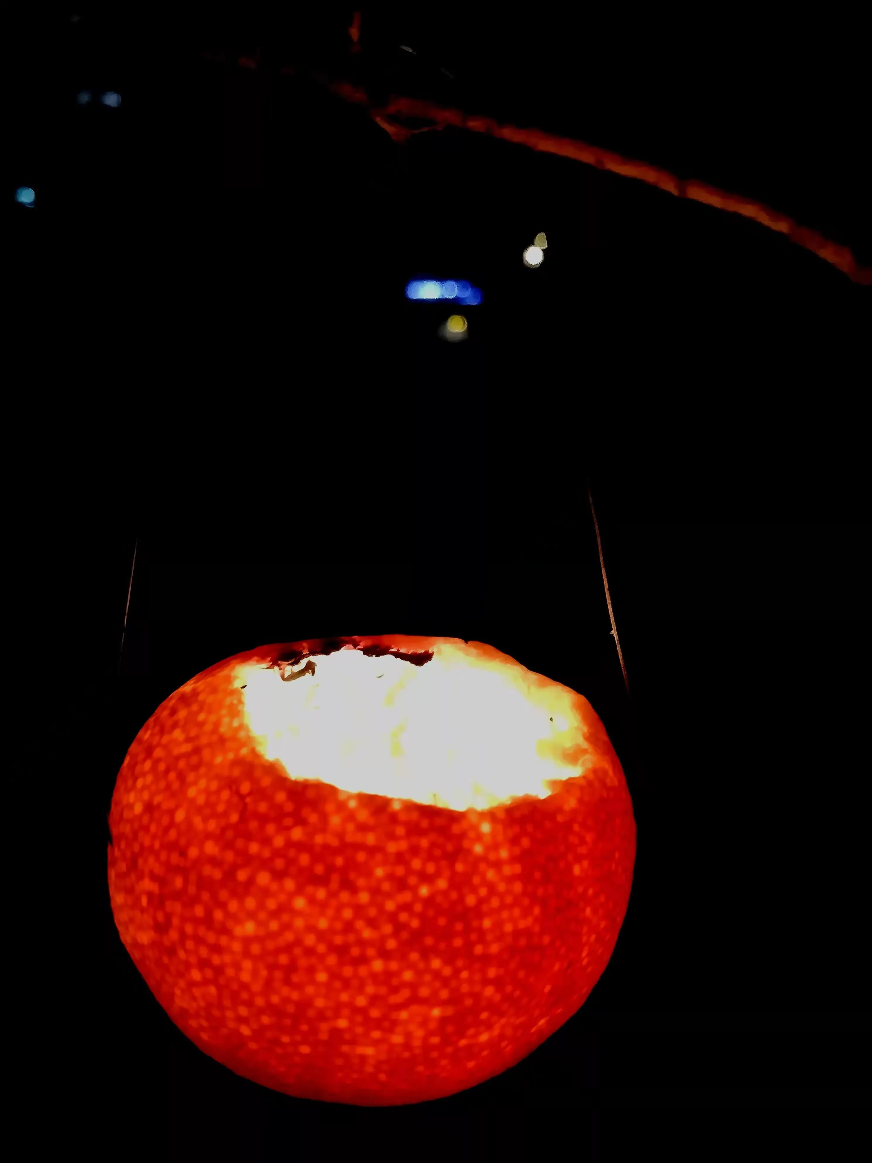 全职带娃4年后的收获,全职家庭主妇多年的收获