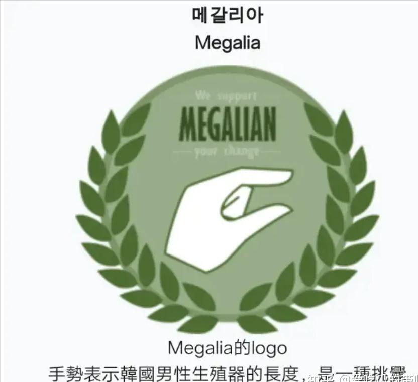 韩国女权论坛到底有多野？为报复男性*拍偷**男更衣室！骚扰12岁男童