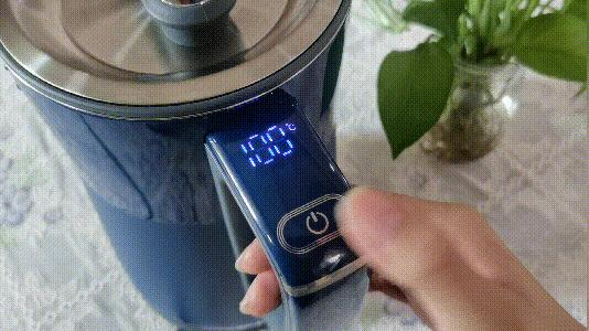 恒温电水壶哪个品牌好,销量最好的电热水壶