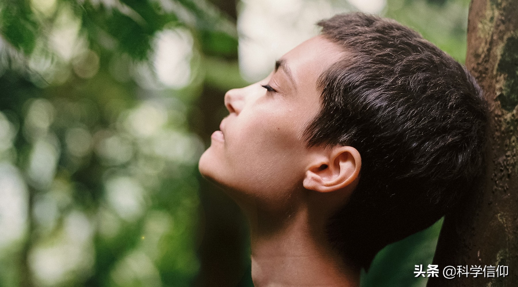 氮气没有参与呼吸作用,氮气可以用于呼吸吗