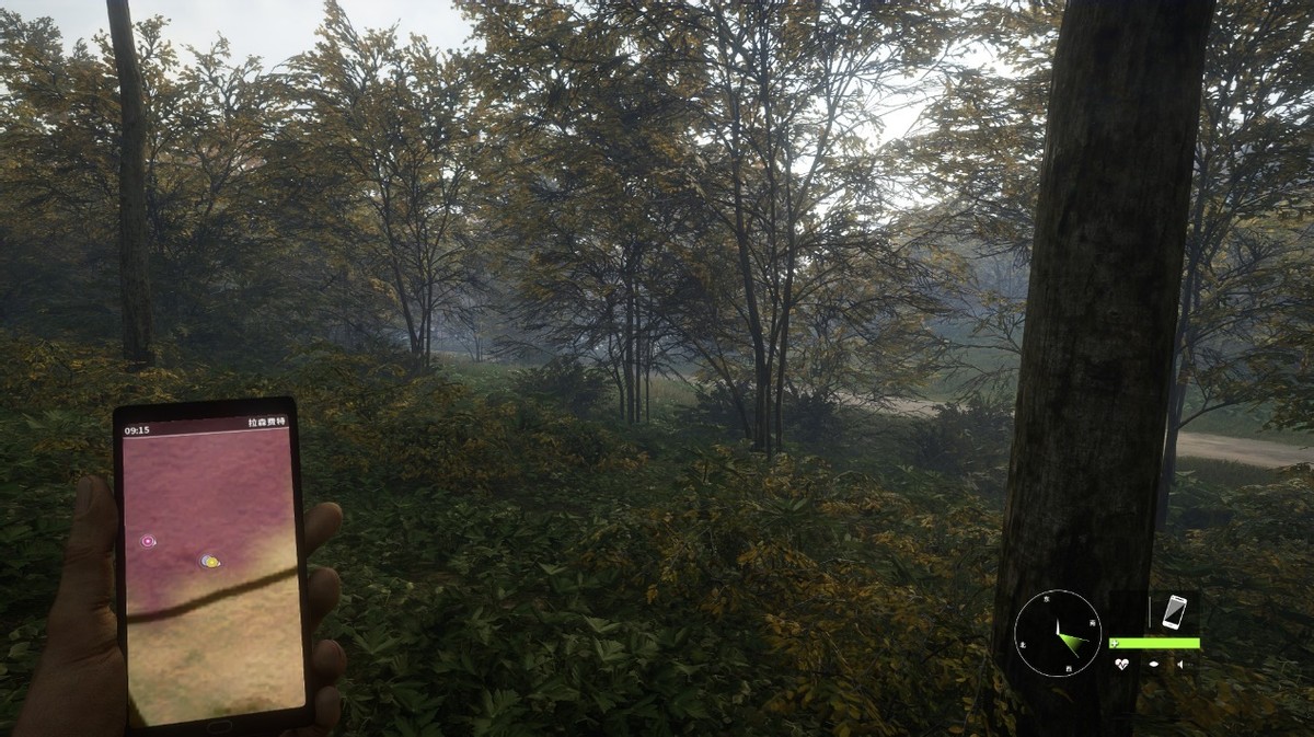 猎人荒野的呼唤和狩猎之道,狩猎模拟器荒野猎人