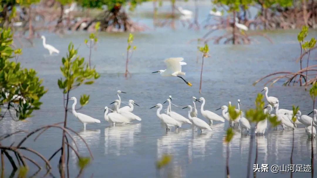 和圣故里，旧称黄湖，为皖地设县最晚的县城之一