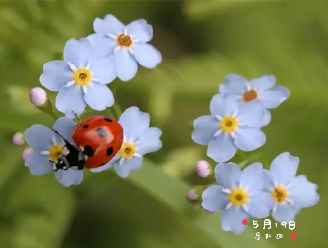 新手发现9：我眼里的头条号百度号企鹅号网易号搜狐号2022