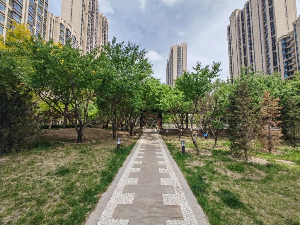 谁是影像机皇,谁才是手机机皇