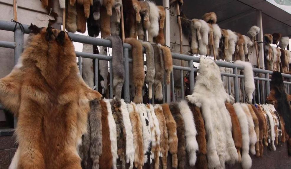 沙俄对西伯利亚的毛皮贸易,17世纪的西伯利亚