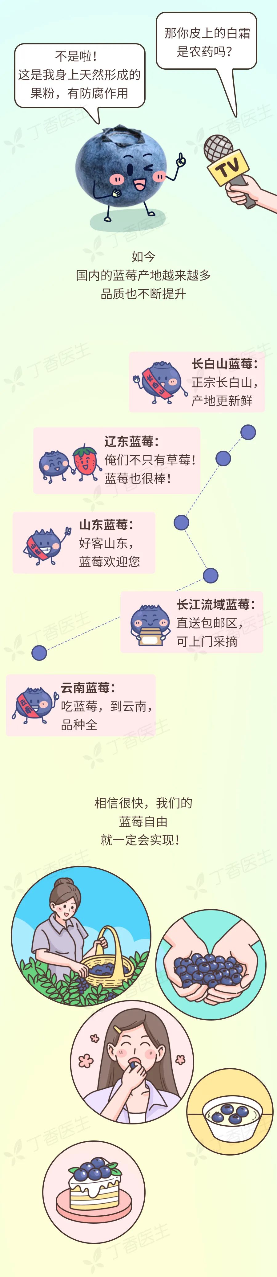 经常吃蓝莓干好处,常吃蓝莓的人身体会发生什么变化