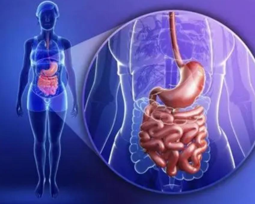 辛开苦降法的五大配方,辛开苦降寒热并调的代表方剂有