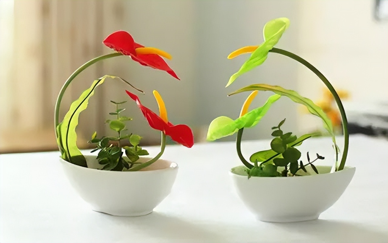 10种最会“吸收毒气”的家居植物,你养了几种?