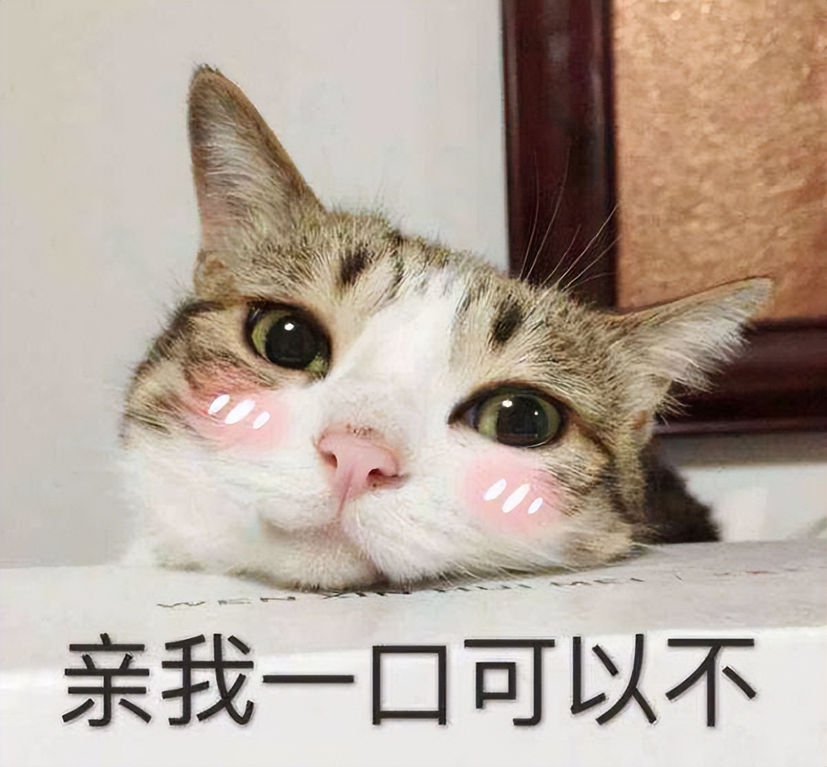 如何证明十二星座男生是否喜欢你,如何让十二星座喜欢你女生篇