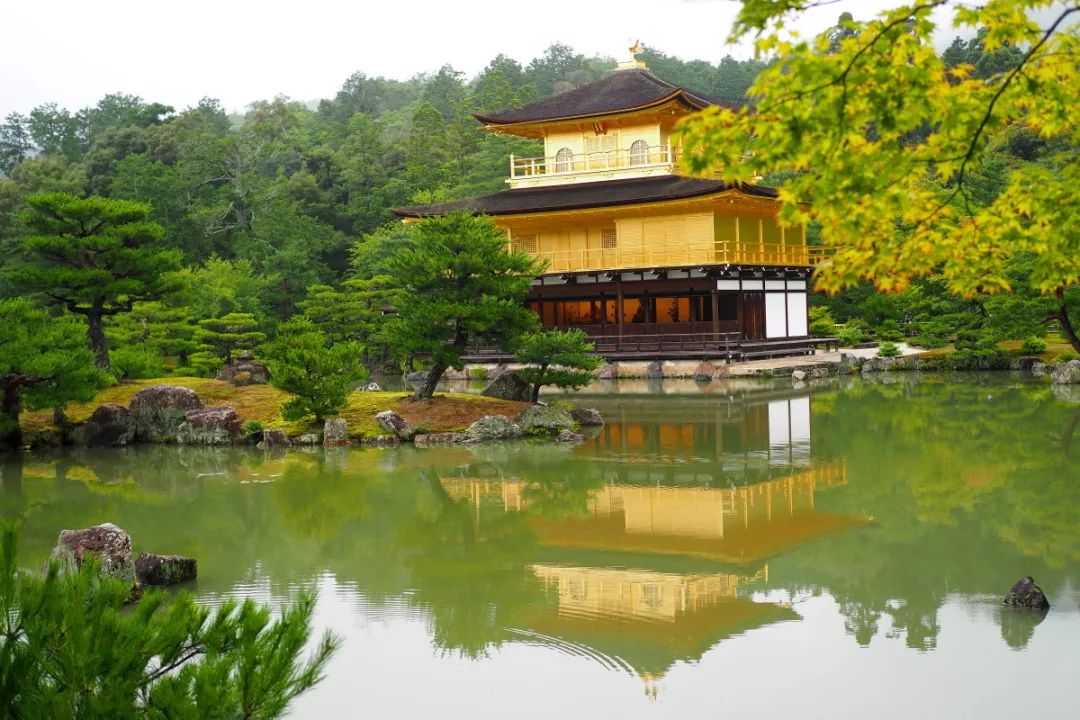 日本枯山水景观,日本枯山水中的树是什么树