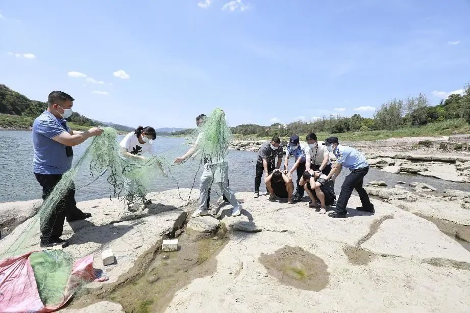 重庆警方通报一起刑案,重庆法院2021年度十大典型案件