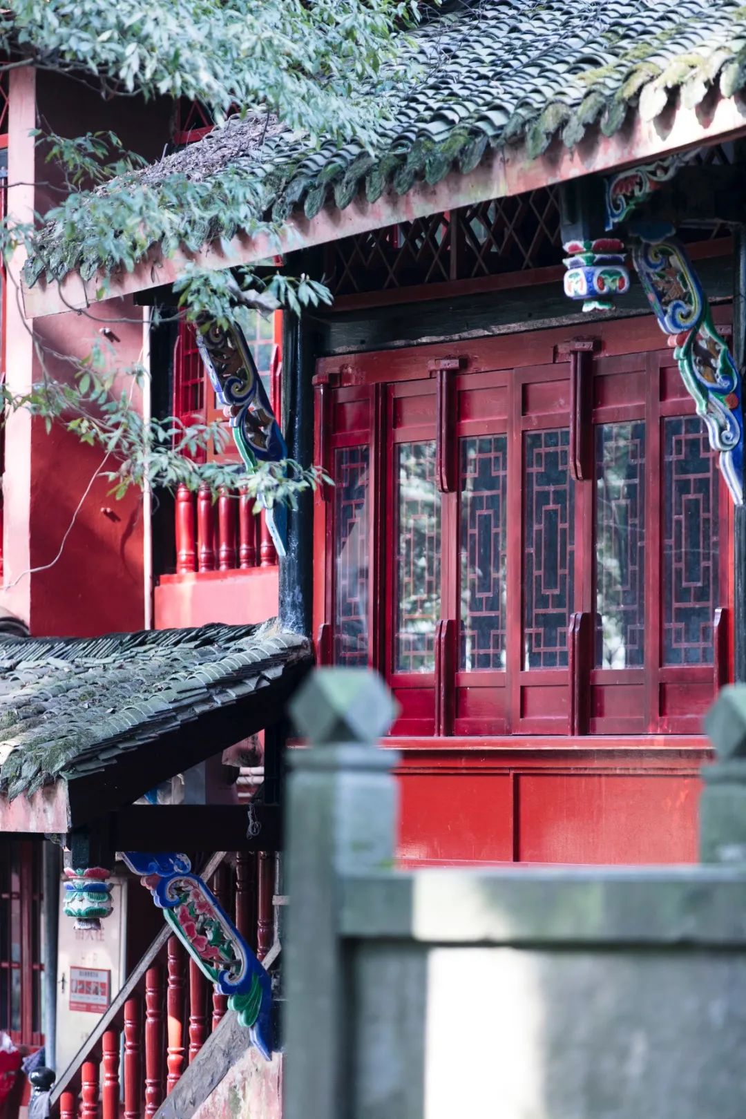 青城山森林秘境,青城山风光好去处