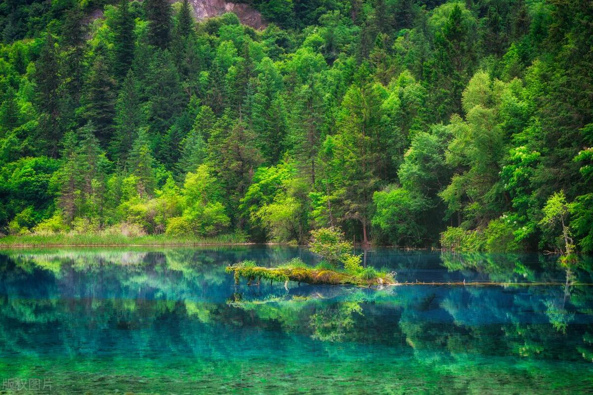 成都旅游攻略五天自由行多少钱,四川成都旅游攻略五日游多少钱